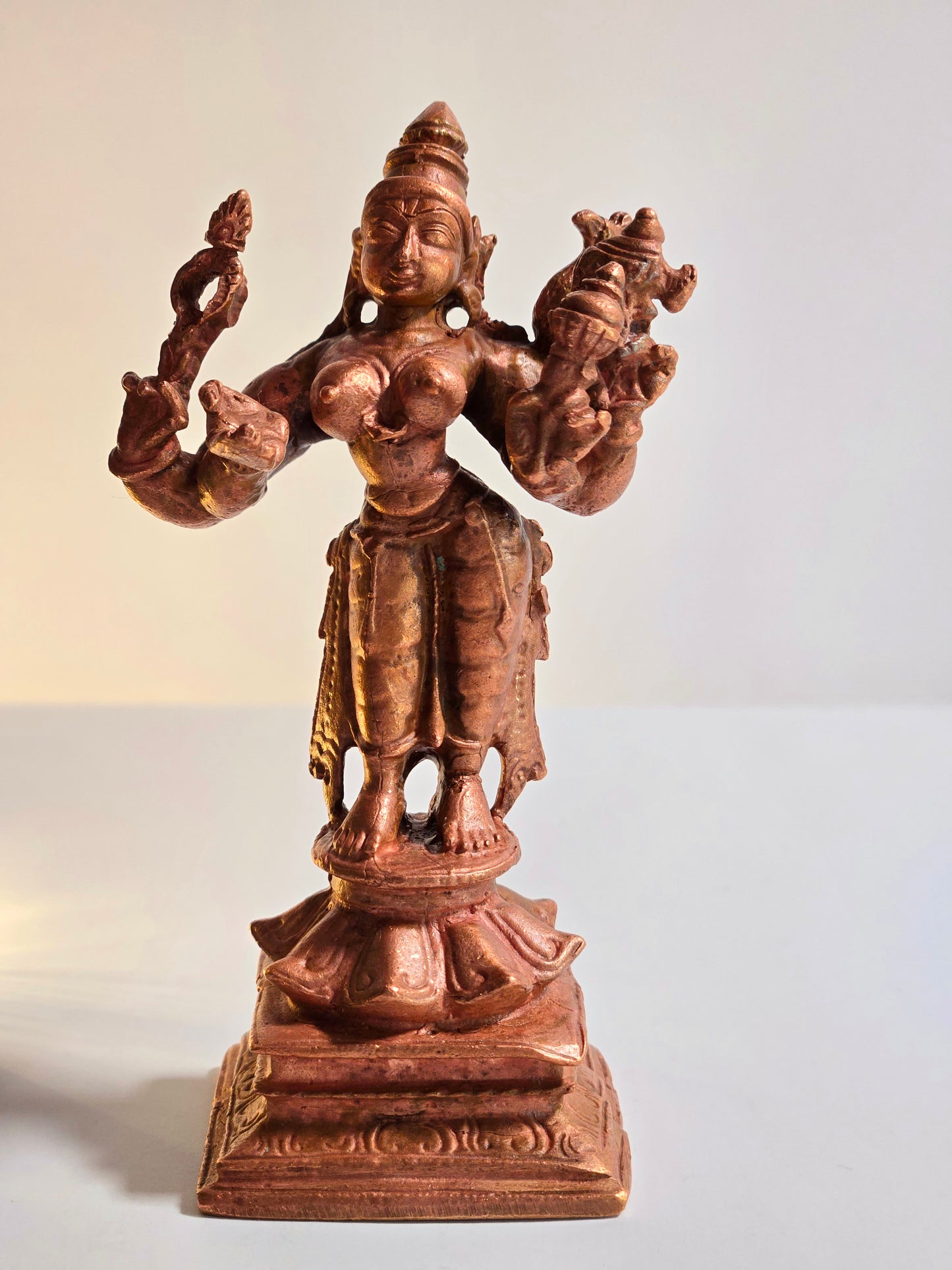 Meenakshi Idol