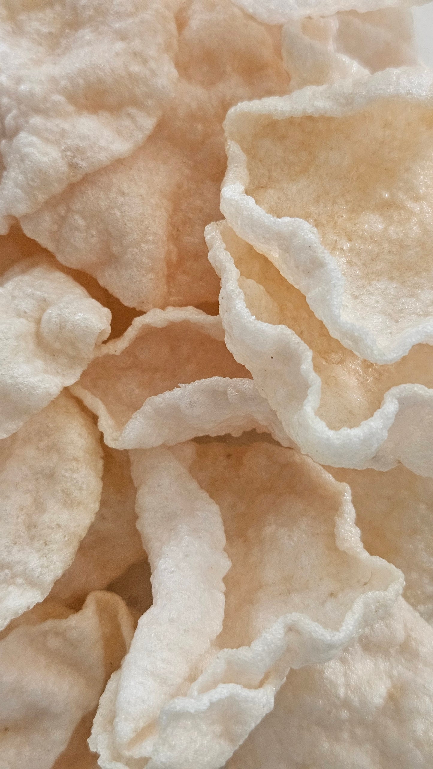 Diyaa Fryums - Onion Pappad - 200 gm