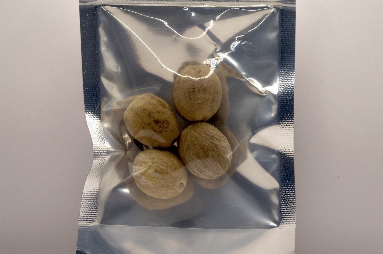 Diyaa Nutmeg (ஜாதிக்காய்) - 25 gm