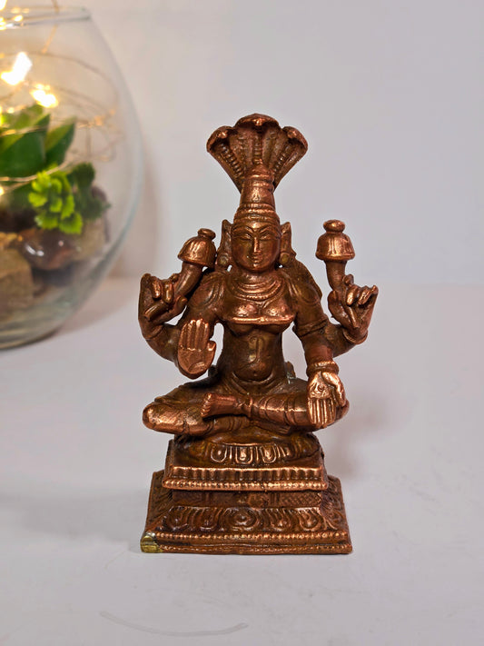 Mari Amman Idol