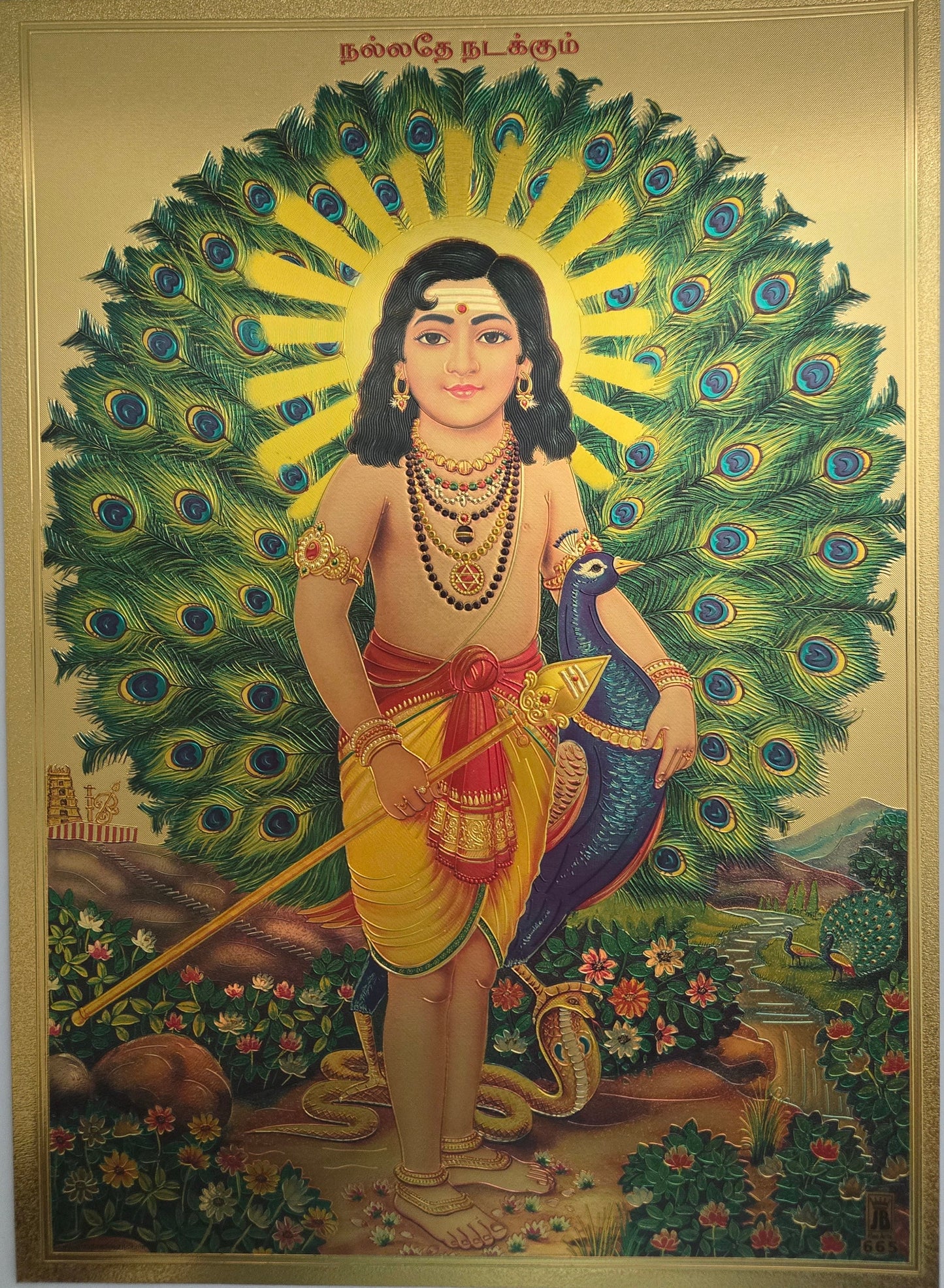 Deity Pictures collection