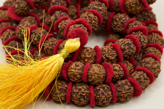Rudraksha Beads Malai