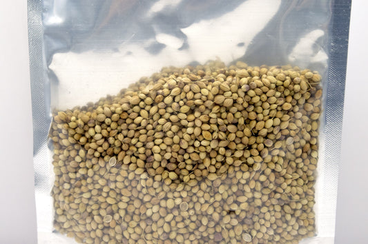 Diyaa Corriander Seeds - 100 gm